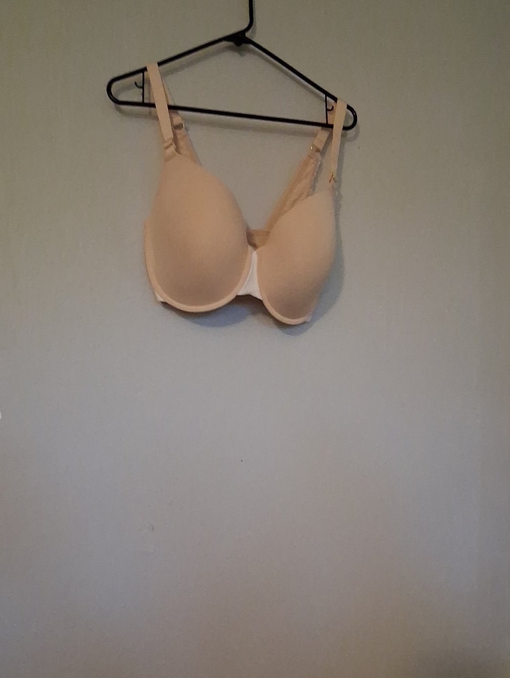 Lively Beige Nude Lightly Padded T-Shirt Bra - Women Intimates